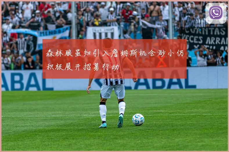 森林狼虽知引入詹姆斯机会渺小仍积极展开招募行动