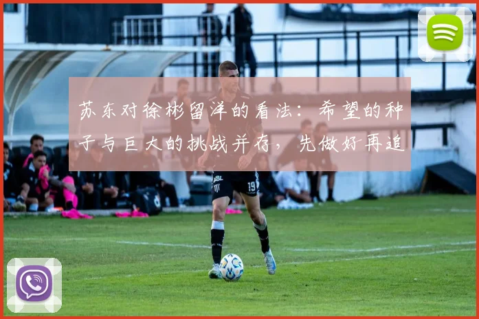 苏东对徐彬留洋的看法：希望的种子与巨大的挑战并存，先做好再追求完美